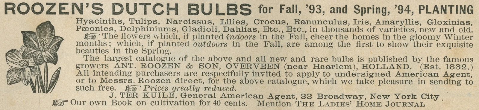 Vintage clipping, Roozens Dutch bulbs