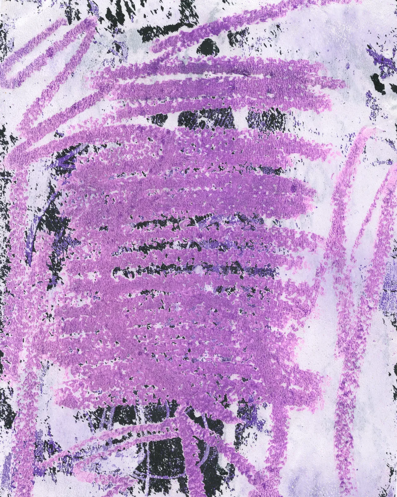 Studio scan, 11:32 AM